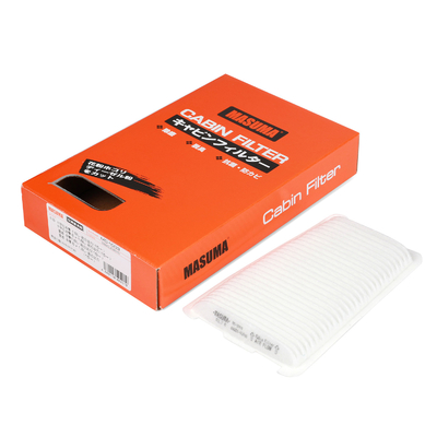 Filtro della batteria