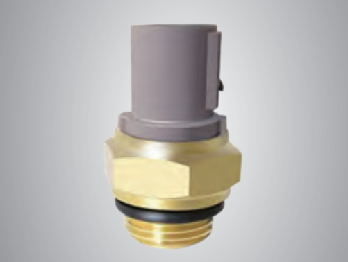 Thermo Switch